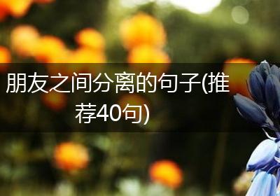 朋友之间分离的句子(推荐40句)