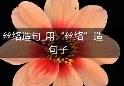 丝络造句_用“丝络”造句子