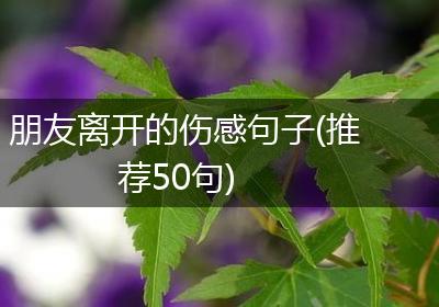 朋友离开的伤感句子(推荐50句)