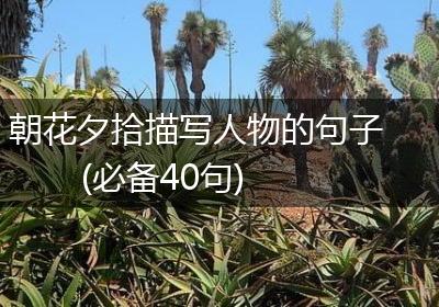 朝花夕拾描写人物的句子(必备40句)