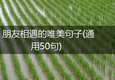 朋友相遇的唯美句子(通用50句)