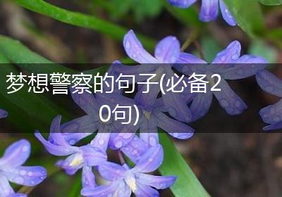 梦想警察的句子(必备20句)