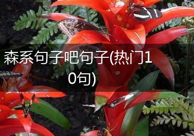 森系句子吧句子(热门10句)