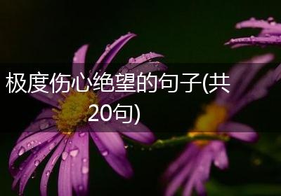 极度伤心绝望的句子(共20句)