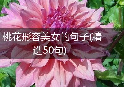 桃花形容美女的句子(精选50句)