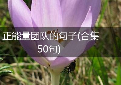 正能量团队的句子(合集50句)