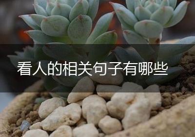 看人的相关句子有哪些