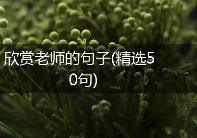 欣赏老师的句子(精选50句)