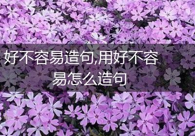 好不容易造句,用好不容易怎么造句