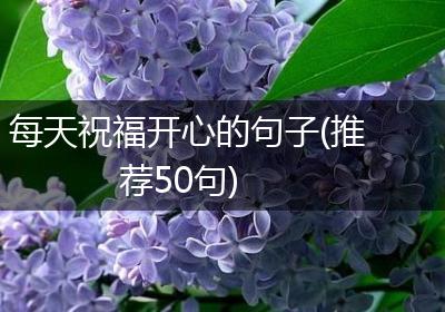每天祝福开心的句子(推荐50句)