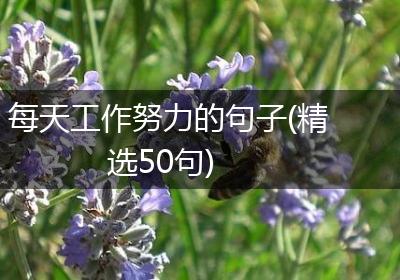 每天工作努力的句子(精选50句)