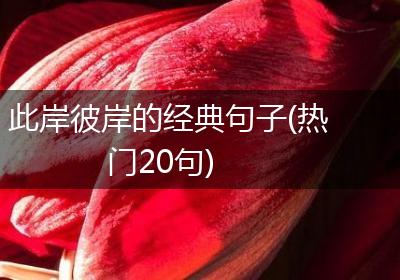 此岸彼岸的经典句子(热门20句)