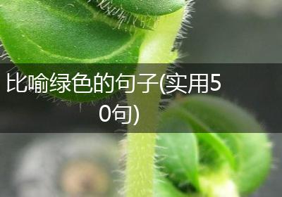 比喻绿色的句子(实用50句)