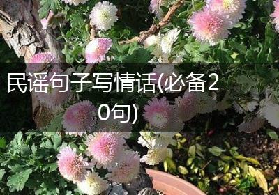 民谣句子写情话(必备20句)