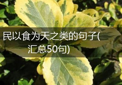 民以食为天之类的句子(汇总50句)