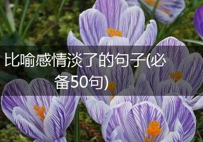 比喻感情淡了的句子(必备50句)
