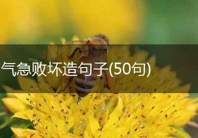 气急败坏造句子(50句)