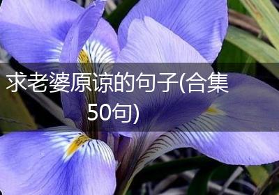 求老婆原谅的句子(合集50句)