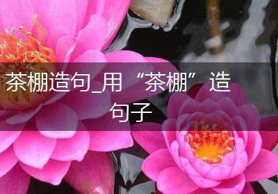 茶棚造句_用“茶棚”造句子