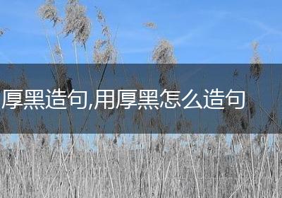 厚黑造句,用厚黑怎么造句
