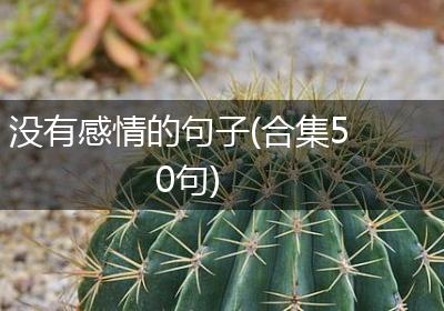 没有感情的句子(合集50句)
