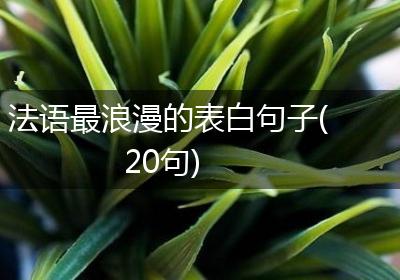 法语最浪漫的表白句子(20句)