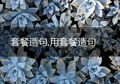 套餐造句,用套餐造句