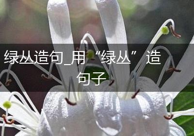 绿丛造句_用“绿丛”造句子