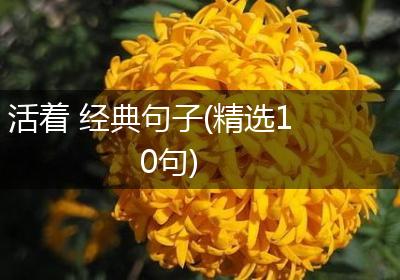 活着 经典句子(精选10句)