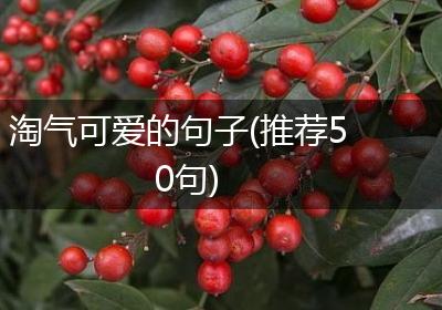 淘气可爱的句子(推荐50句)