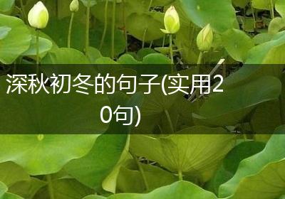深秋初冬的句子(实用20句)