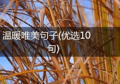 温暖唯美句子(优选10句)