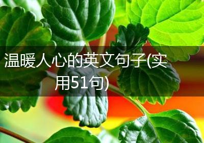 温暖人心的英文句子(实用51句)