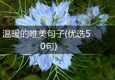 温暖的唯美句子(优选50句)