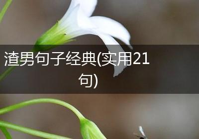 渣男句子经典(实用21句)
