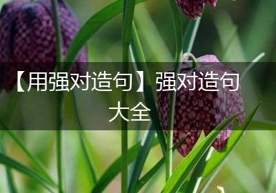 【用强对造句】强对造句大全