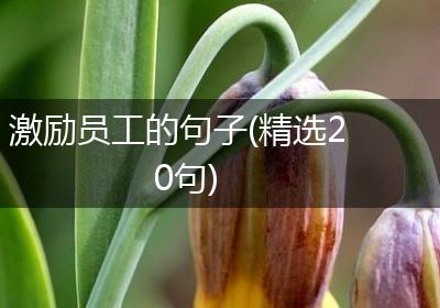激励员工的句子(精选20句)