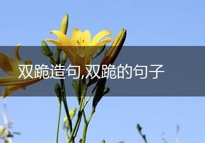 双跪造句,双跪的句子