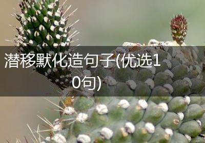 潜移默化造句子(优选10句)