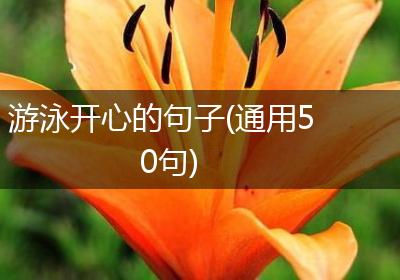 游泳开心的句子(通用50句)