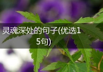 灵魂深处的句子(优选15句)