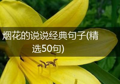 烟花的说说经典句子(精选50句)