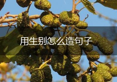 用生别怎么造句子