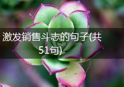 激发销售斗志的句子(共51句)