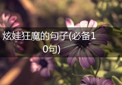 炫娃狂魔的句子(必备10句)