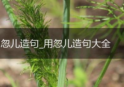 忽儿造句_用忽儿造句大全