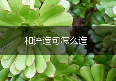和语造句怎么造