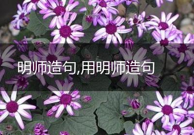 明师造句,用明师造句
