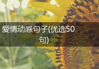 爱情动感句子(优选50句)