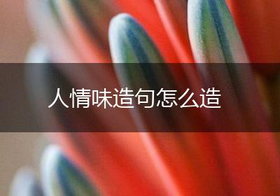 人情味造句怎么造